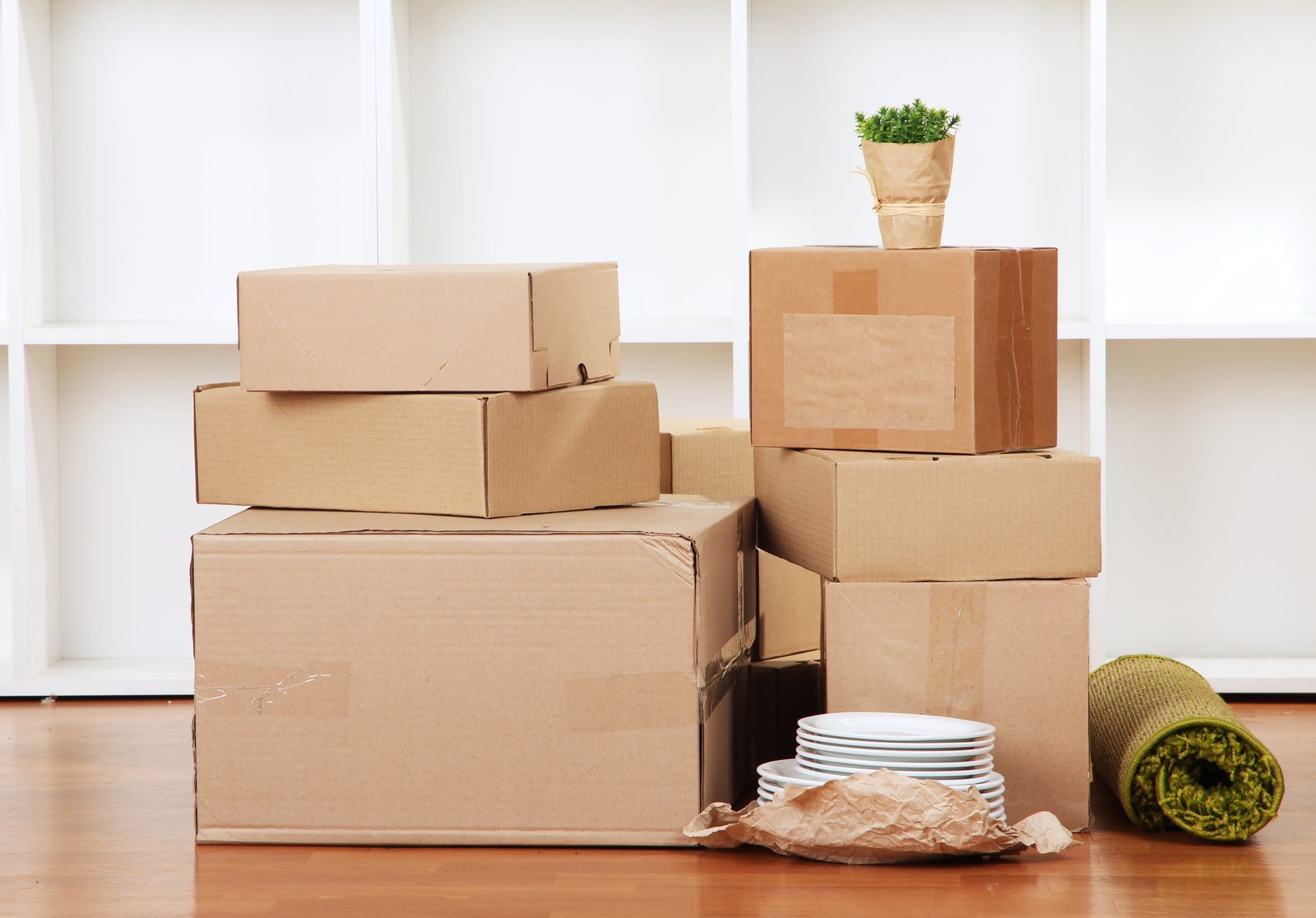 International Removal Service