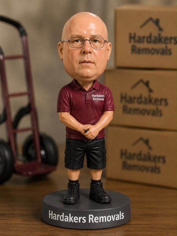 Steve — Removals Team, Hardakers Removals & Storage